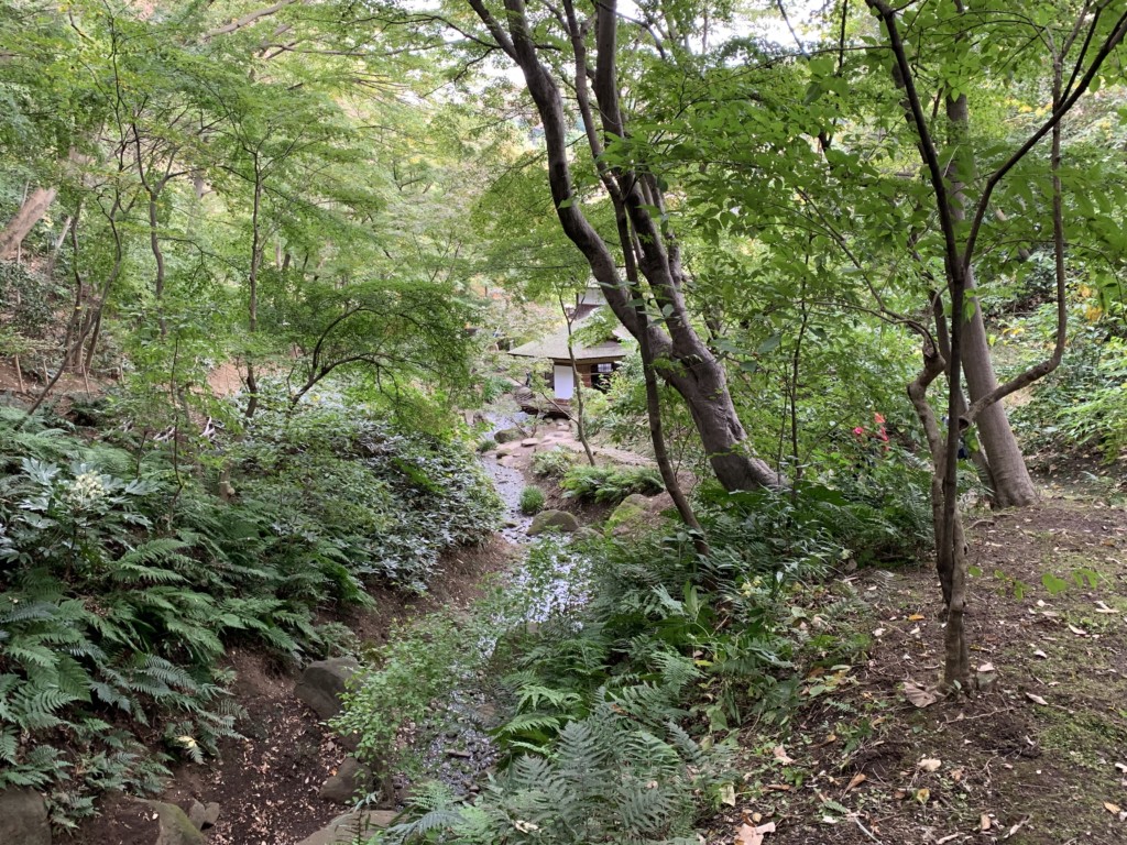 画像に alt 属性が指定されていません。ファイル名: IMG_9242-1024x768.jpg